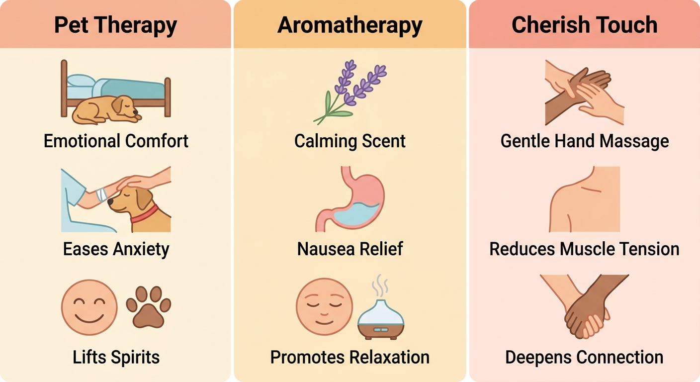 Infographic comparing three hospice comfort therapies: Pet Therapy, Aromatherapy, and Cherish Touch with icons and labels for each.